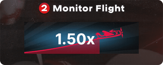 monitor flight